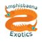 Amphisbaena Exotics LLC Avatar